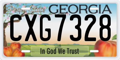 GA license plate CXG7328