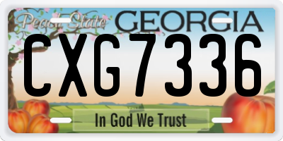 GA license plate CXG7336