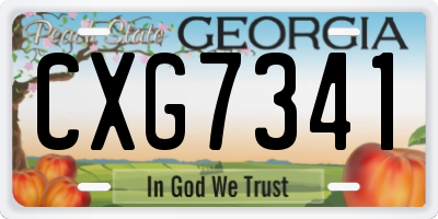 GA license plate CXG7341