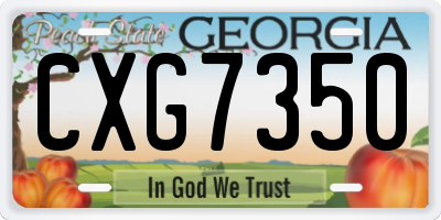 GA license plate CXG7350