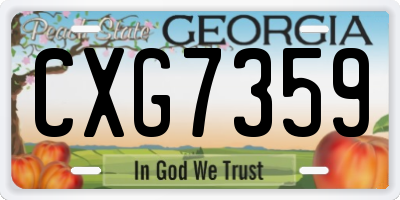 GA license plate CXG7359