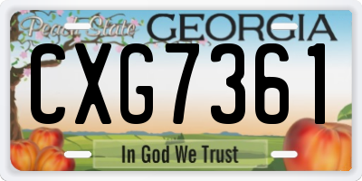 GA license plate CXG7361