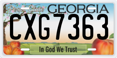 GA license plate CXG7363