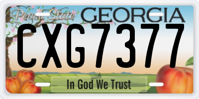 GA license plate CXG7377