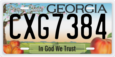 GA license plate CXG7384