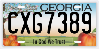 GA license plate CXG7389