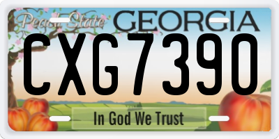 GA license plate CXG7390