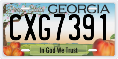 GA license plate CXG7391