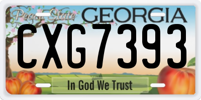 GA license plate CXG7393