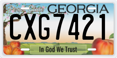 GA license plate CXG7421