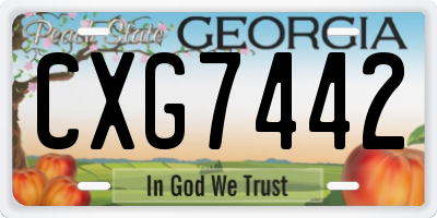 GA license plate CXG7442