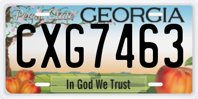 GA license plate CXG7463