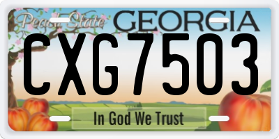 GA license plate CXG7503