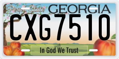 GA license plate CXG7510