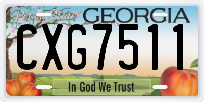 GA license plate CXG7511