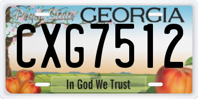 GA license plate CXG7512