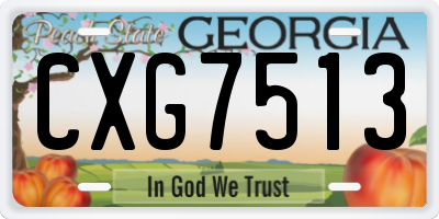 GA license plate CXG7513