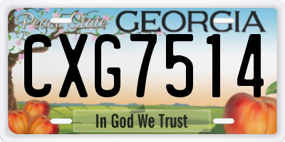 GA license plate CXG7514