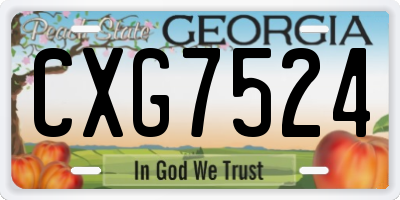 GA license plate CXG7524
