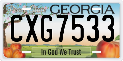 GA license plate CXG7533
