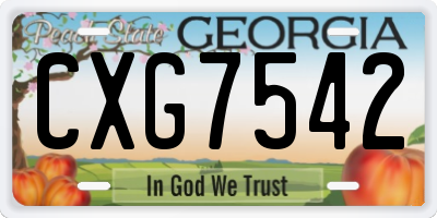 GA license plate CXG7542