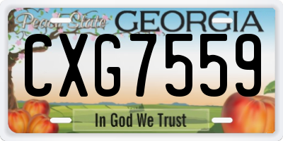 GA license plate CXG7559