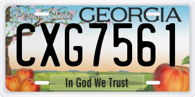 GA license plate CXG7561