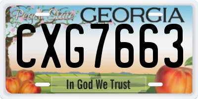 GA license plate CXG7663