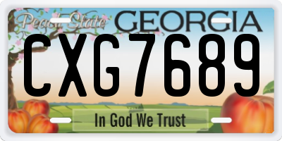 GA license plate CXG7689