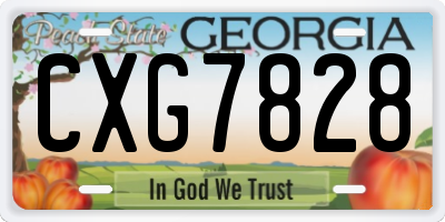 GA license plate CXG7828