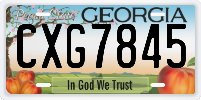 GA license plate CXG7845