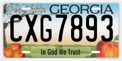 GA license plate CXG7893