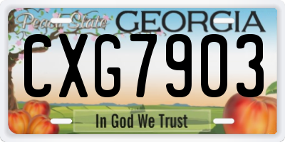 GA license plate CXG7903