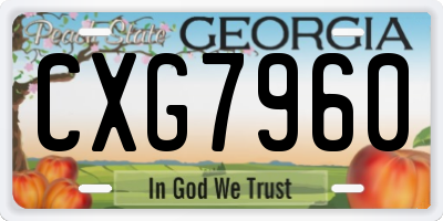 GA license plate CXG7960