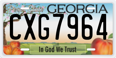 GA license plate CXG7964