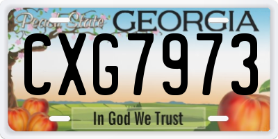 GA license plate CXG7973