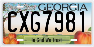 GA license plate CXG7981
