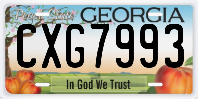 GA license plate CXG7993