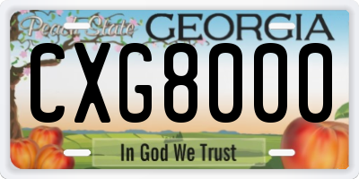 GA license plate CXG8000