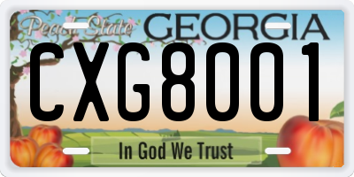 GA license plate CXG8001