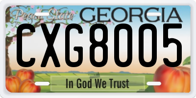 GA license plate CXG8005