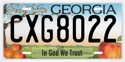 GA license plate CXG8022