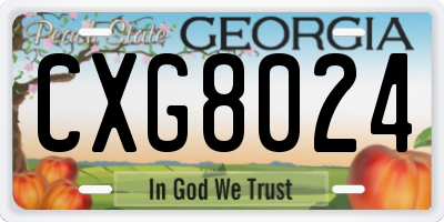 GA license plate CXG8024
