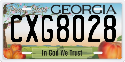 GA license plate CXG8028
