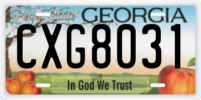 GA license plate CXG8031