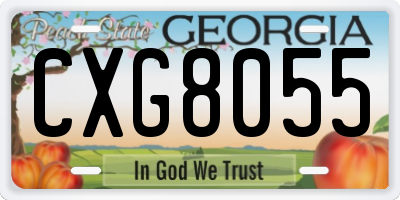 GA license plate CXG8055
