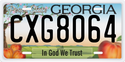 GA license plate CXG8064
