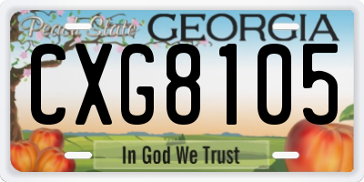 GA license plate CXG8105