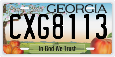 GA license plate CXG8113