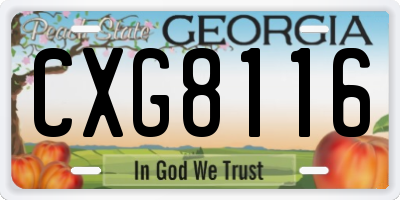 GA license plate CXG8116